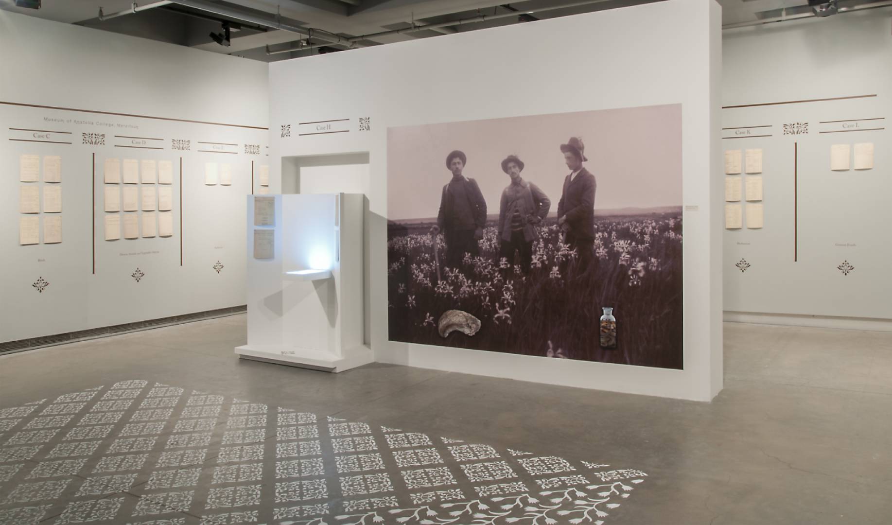 Installation view: “Narrating the Museological Space of Empty Fields ...